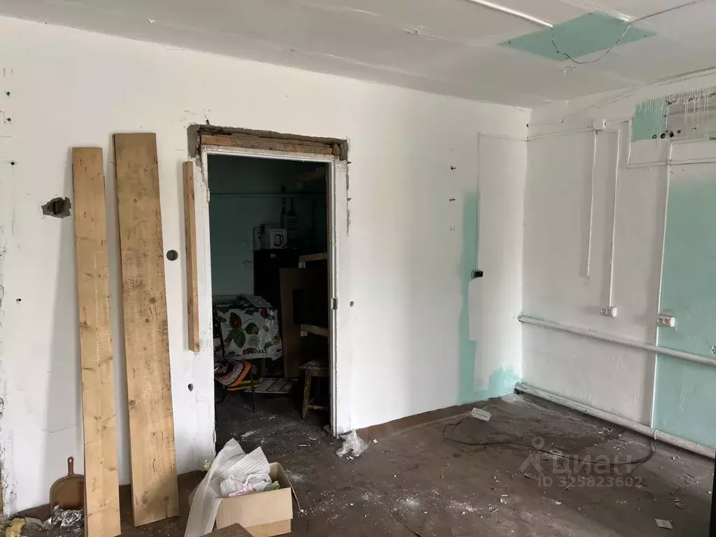 Помещение свободного назначения в Новосибирская область, Барабинск ... - Фото 2