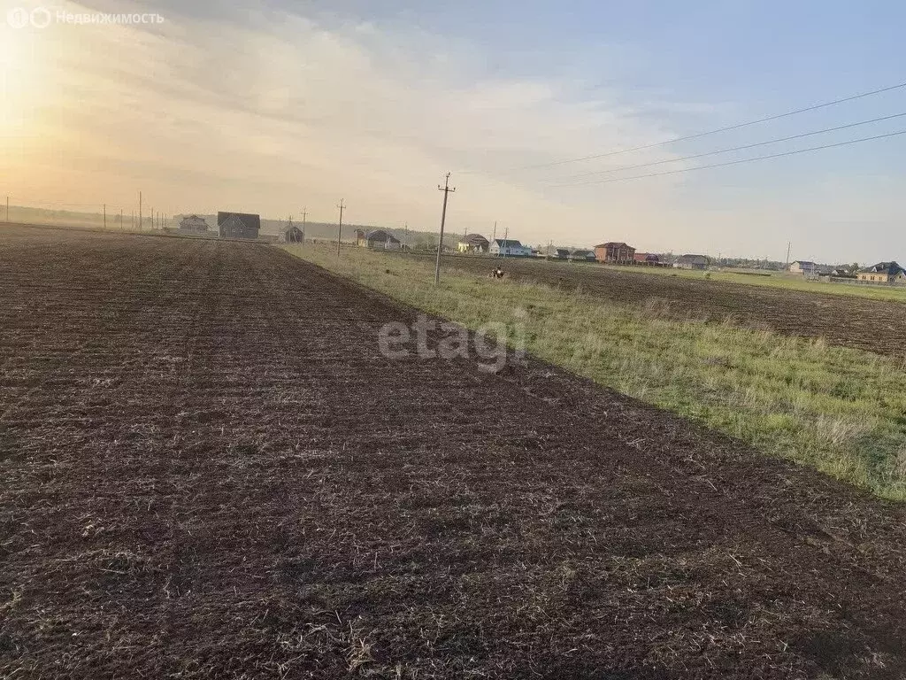 Участок в Омская область, Азовский немецкий район, Гауфское сельское ... - Фото 1