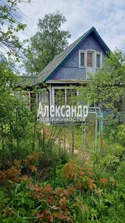 Участок в Ленинградская область, Кировский район, Мгинское городское ... - Фото 2