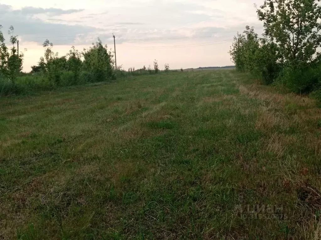 Участок в Липецкая область, Липецкий муниципальный округ, с. ... - Фото 0