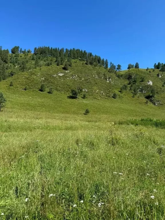 Участок в Алтай, Чемальский район, с. Бешпельтир  (80.71 сот.) - Фото 0