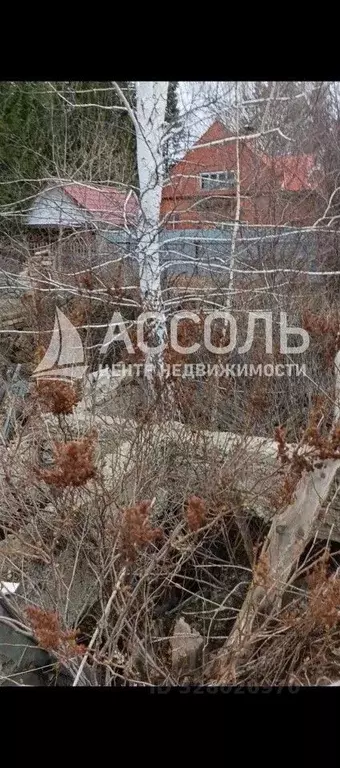 Участок в Омская область, Таврическое рп ул. Советская (7.0 сот.) - Фото 1