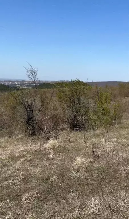 Участок 6 сот. (СНТ, ДНП) - Фото 1