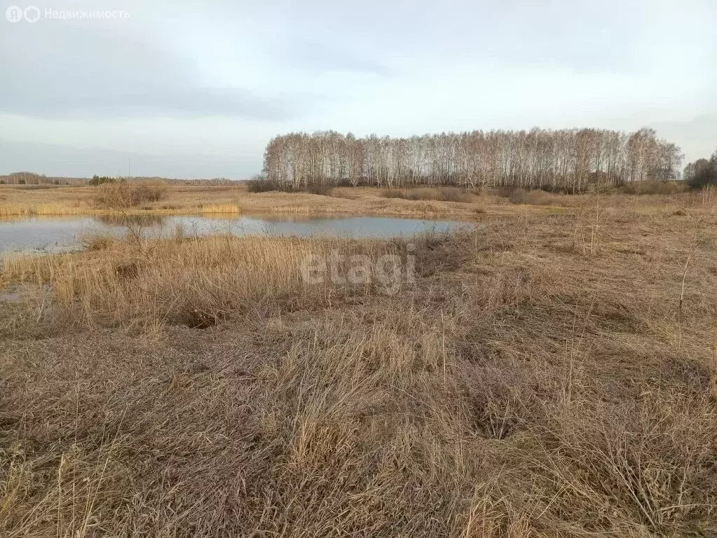 Участок в Галкинское сельское поселение, деревня Бутырки, Советская ... - Фото 0