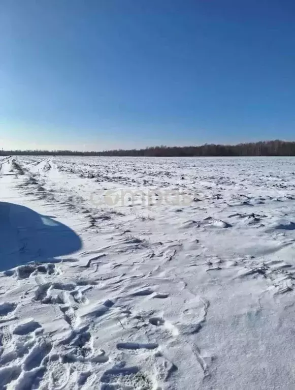 Участок в Тюменская область, Тюменский район, с. Горьковка Сибирская ... - Фото 0