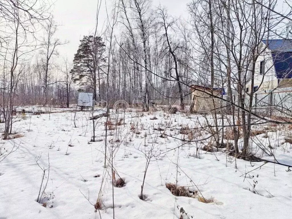 Участок в Тюменская область, Нижнетавдинский муниципальный округ, ... - Фото 2