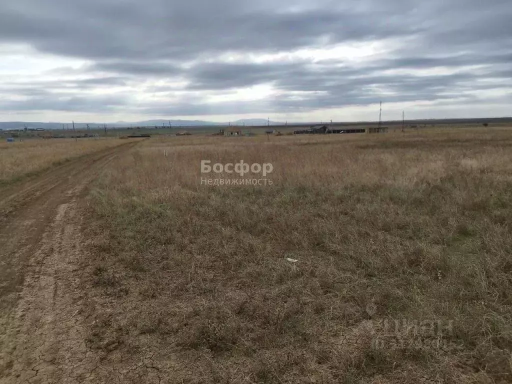 Участок в Крым, Феодосия городской округ, с. Береговое ул. Дружбы ... - Фото 1