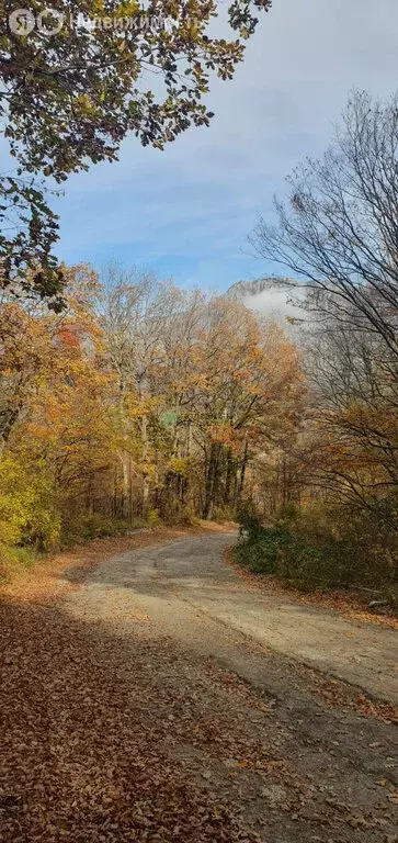 Участок в Добровское сельское поселение, коттеджный посёлок Лаванда ... - Фото 2