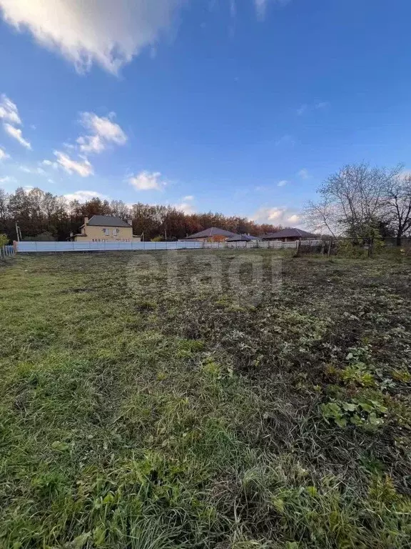 Участок в Липецкая область, Липецкий муниципальный округ, д. Ясная ... - Фото 1