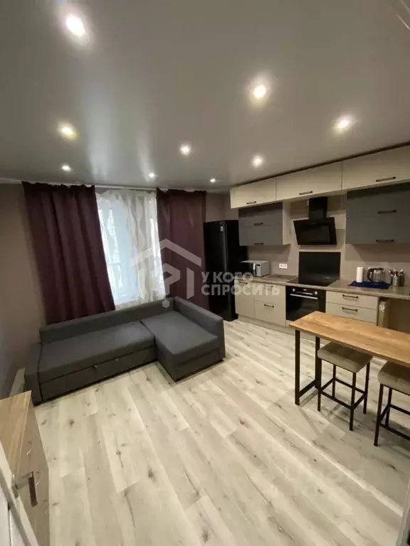 Студия Санкт-Петербург Усть-Славянка тер., ул. Заводская, 15 (25.5 м) - Фото 1