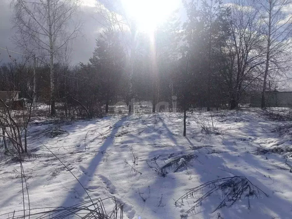 Участок в Брянская область, Брянск Родничок СНТ,  (6.3 сот.) - Фото 2