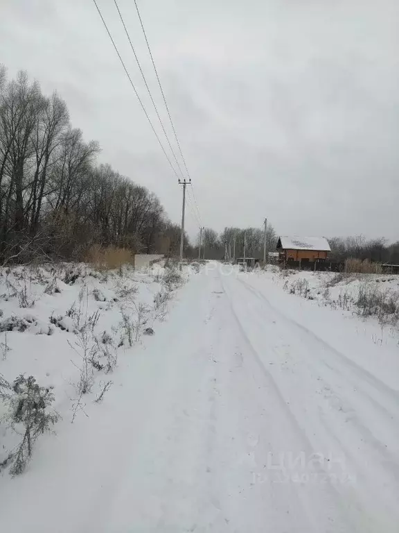 Участок в Алтайский край, Первомайский район, с. Фирсово ул. ... - Фото 2