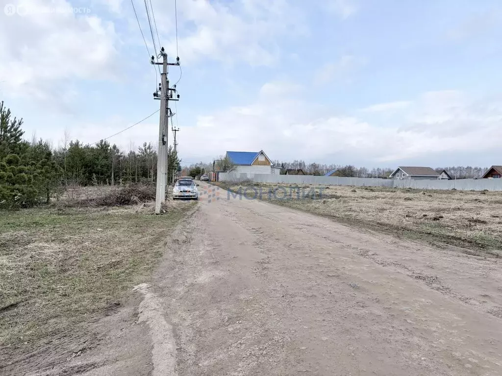 Участок в Нижегородская область, Богородский муниципальный округ, ДП ... - Фото 2
