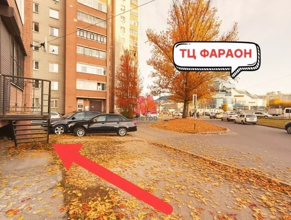 Помещение свободного назначения в Ярославская область, Ярославль ... - Фото 1