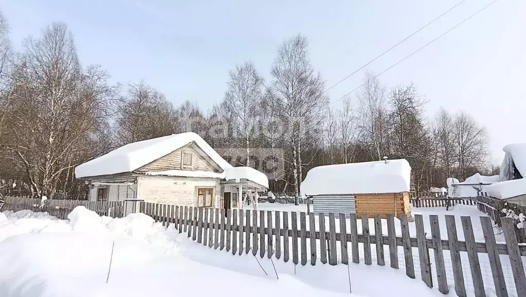 Дом в Пермский край, Краснокамск Моховая ул. (35 м) - Фото 1