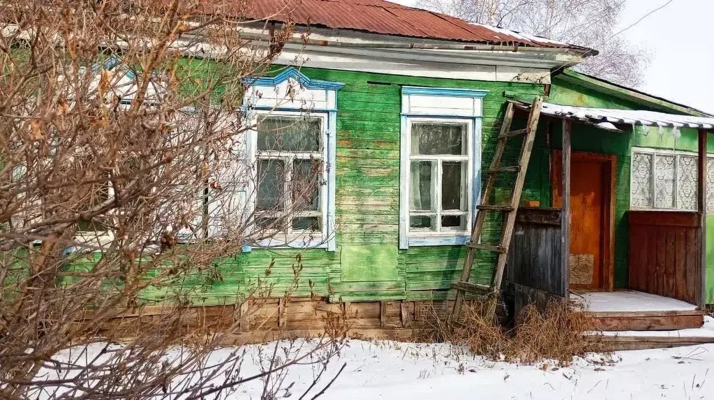 Дом в Амурская область, Ивановский муниципальный округ, с. Черемхово ... - Фото 1
