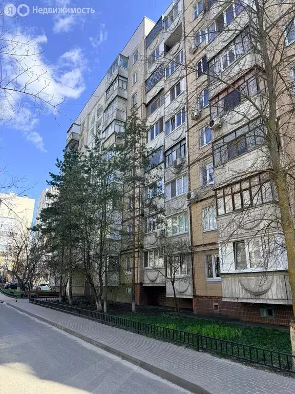 1-комнатная квартира: Белгород, улица Губкина, 42Б (34 м) - Фото 1