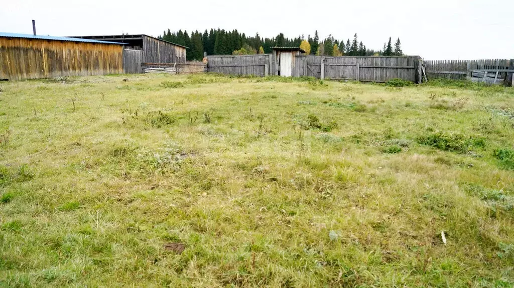 Участок в Свердловская область, Тугулымский муниципальный округ, село ... - Фото 1