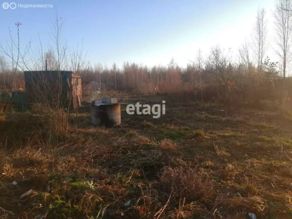 Участок в Морозовское городское поселение, садоводческое ... - Фото 1