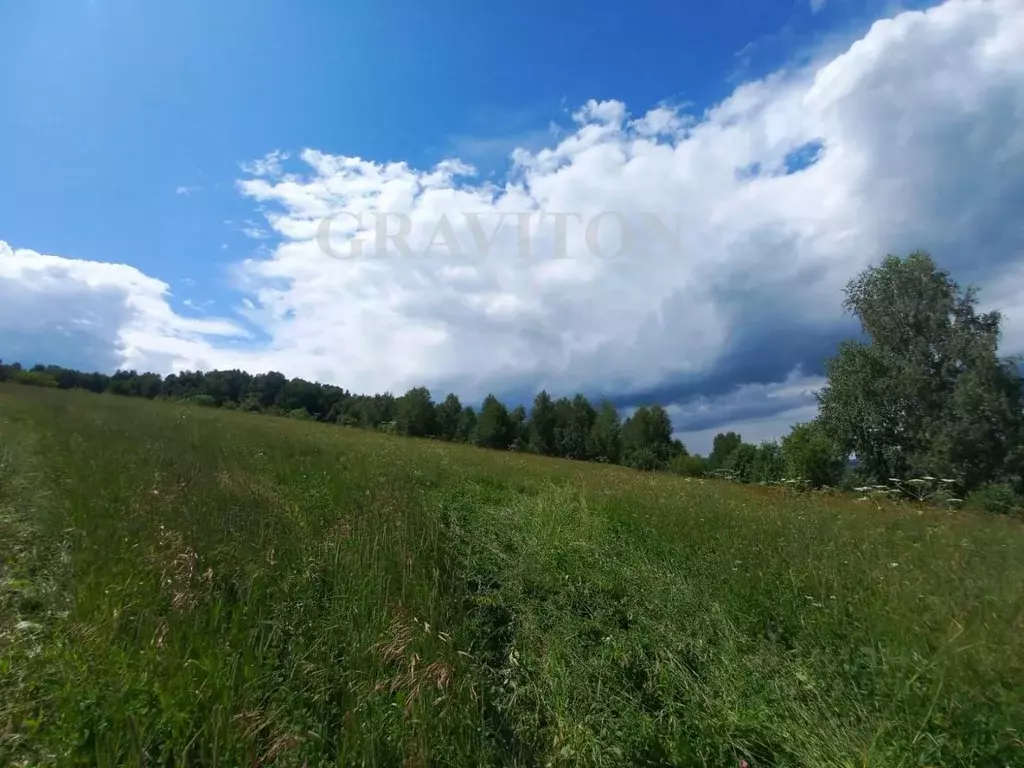 Участок в Алтай, Майминский район, с. Майма ул. Энергетиков (8.0 сот.) - Фото 0