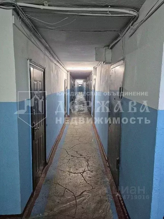 Студия Кемеровская область, Кемерово ул. Ворошилова, 17а (22.5 м) - Фото 2