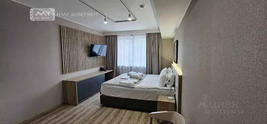 Студия Санкт-Петербург Заозерная ул., 3к3 (29.0 м) - Фото 2