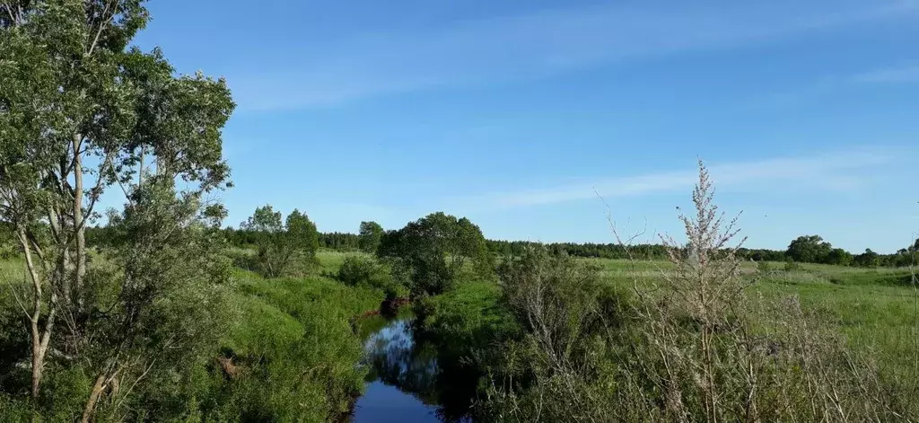 Участок в Новгородская область, Старорусский район, Великосельское ... - Фото 1