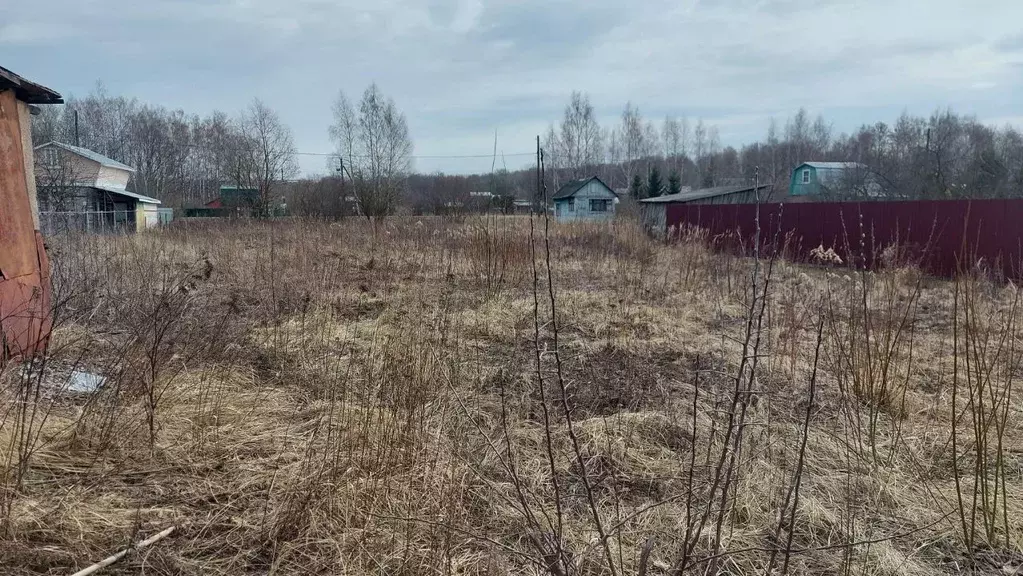 Участок в Владимирская область, Суздальский район, Новоалександровское ... - Фото 1