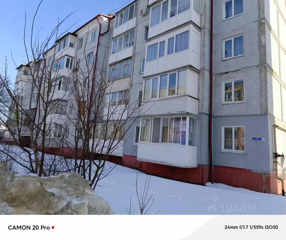 2-к кв. Брянская область, Жуковка ул. Карла Либкнехта, 1 (59.3 м) - Фото 1