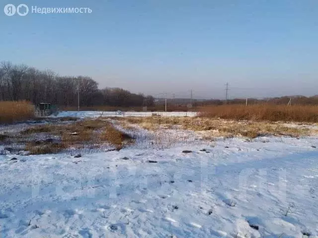 Участок в Узловский район, сельское поселение Шахтёрское (630 м) - Фото 2