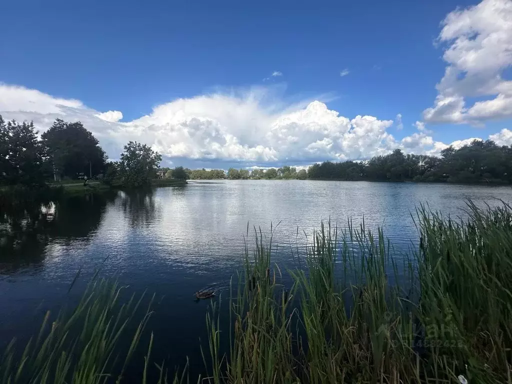 Участок в Москва Приозерная ул., 22 (15.0 сот.) - Фото 0