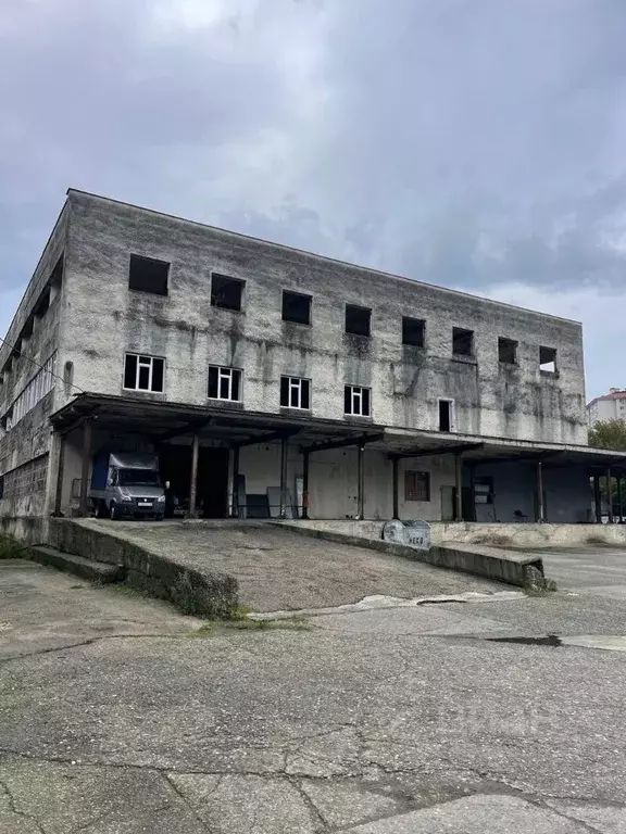 Помещение свободного назначения в Краснодарский край, Сочи ул. ... - Фото 1