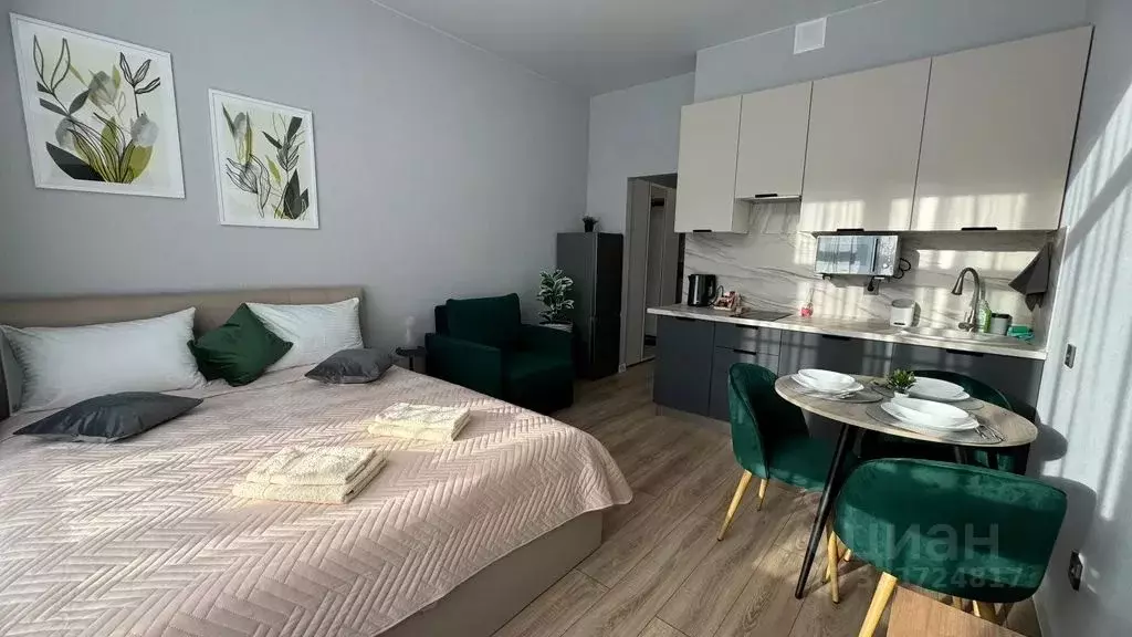 Студия Краснодарский край, Краснодар ул. Ивана Беличенко, 90к1 (22.0 ... - Фото 1