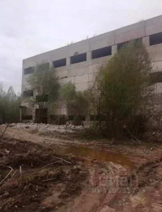 Производственное помещение в Ленинградская область, Кириши ш. ... - Фото 1
