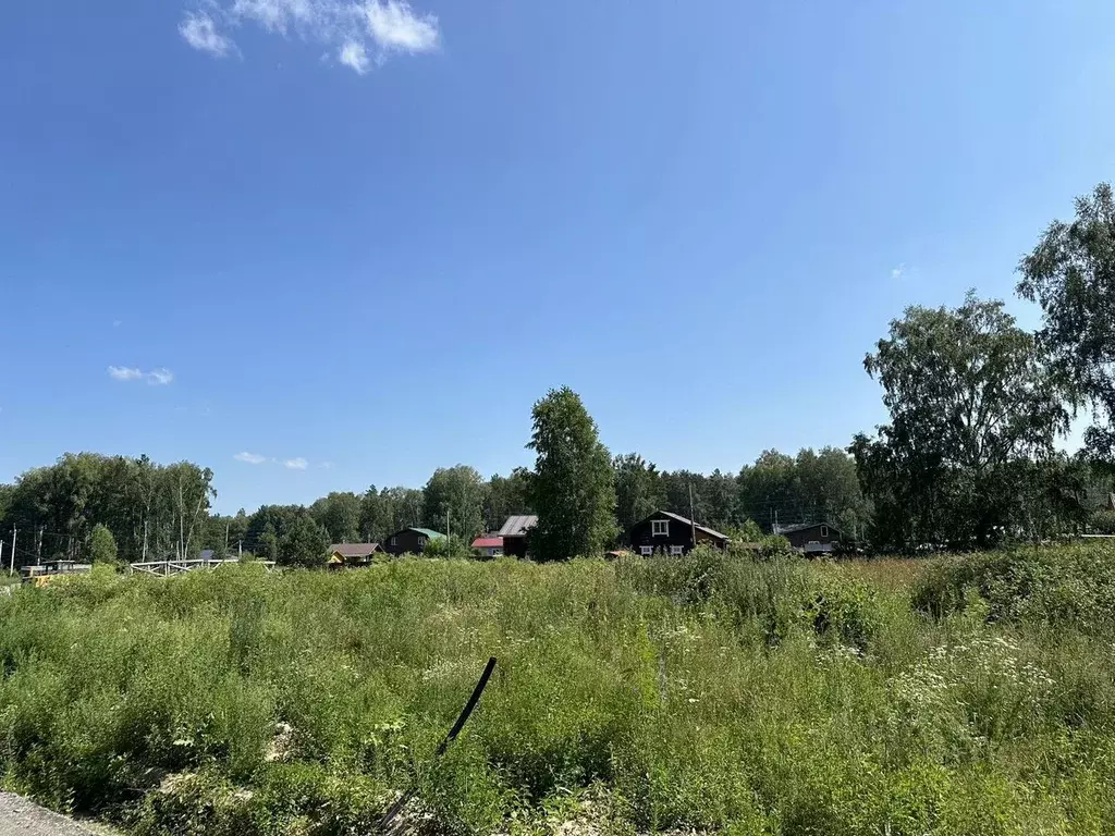 Участок в Новосибирская область, Новосибирский район, Барышевский ... - Фото 1