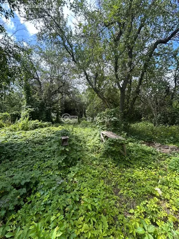 Участок в Воронеж, СНТ Завода Радиодеталей, Калиновая улица, 50 (6 м) - Фото 0