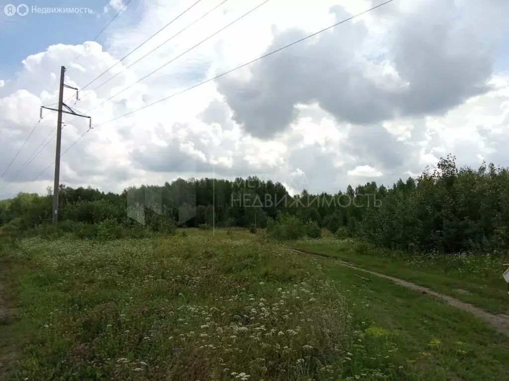 Участок в Каскаринское муниципальное образование (10 м) - Фото 1