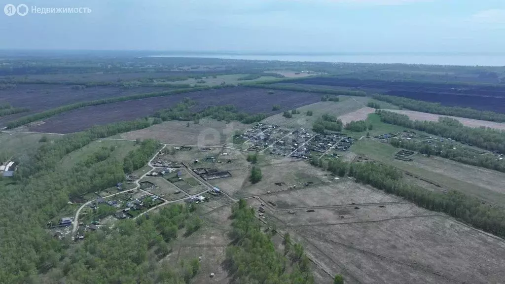 Участок в Новосибирский район, Морской сельсовет, ДНТ Усадьба (11.74 ... - Фото 1