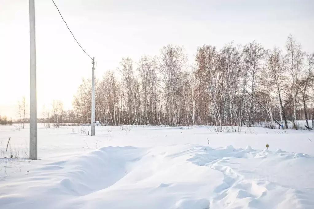 Участок в Новосибирская область, Искитимский район, Быстровский ... - Фото 1