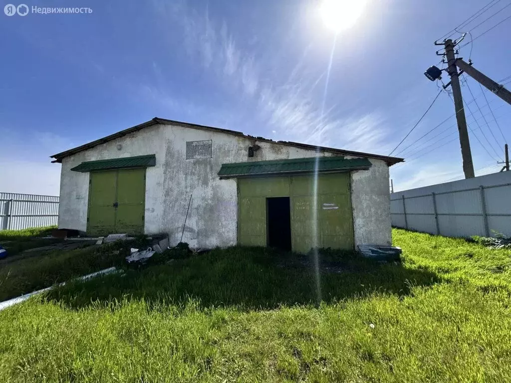 Помещение свободного назначения (300 м) - Фото 1