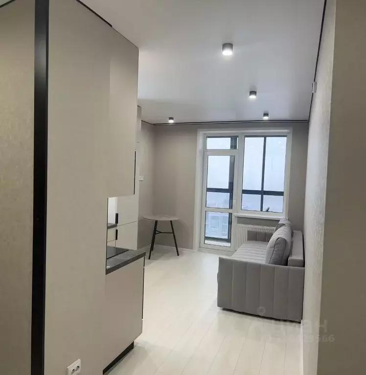 Студия Свердловская область, Екатеринбург ул. Крауля, 105/3 (26.5 м) - Фото 2