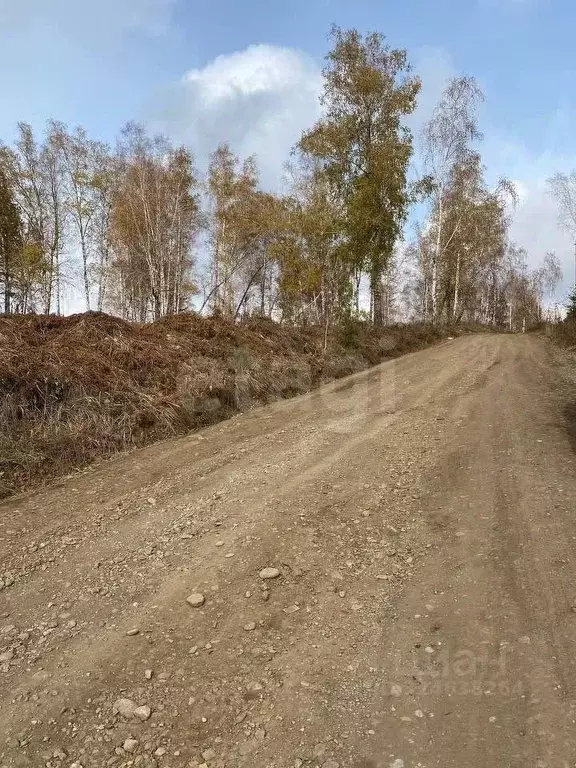 Участок в Иркутская область, Иркутский муниципальный округ, Маркова ... - Фото 2