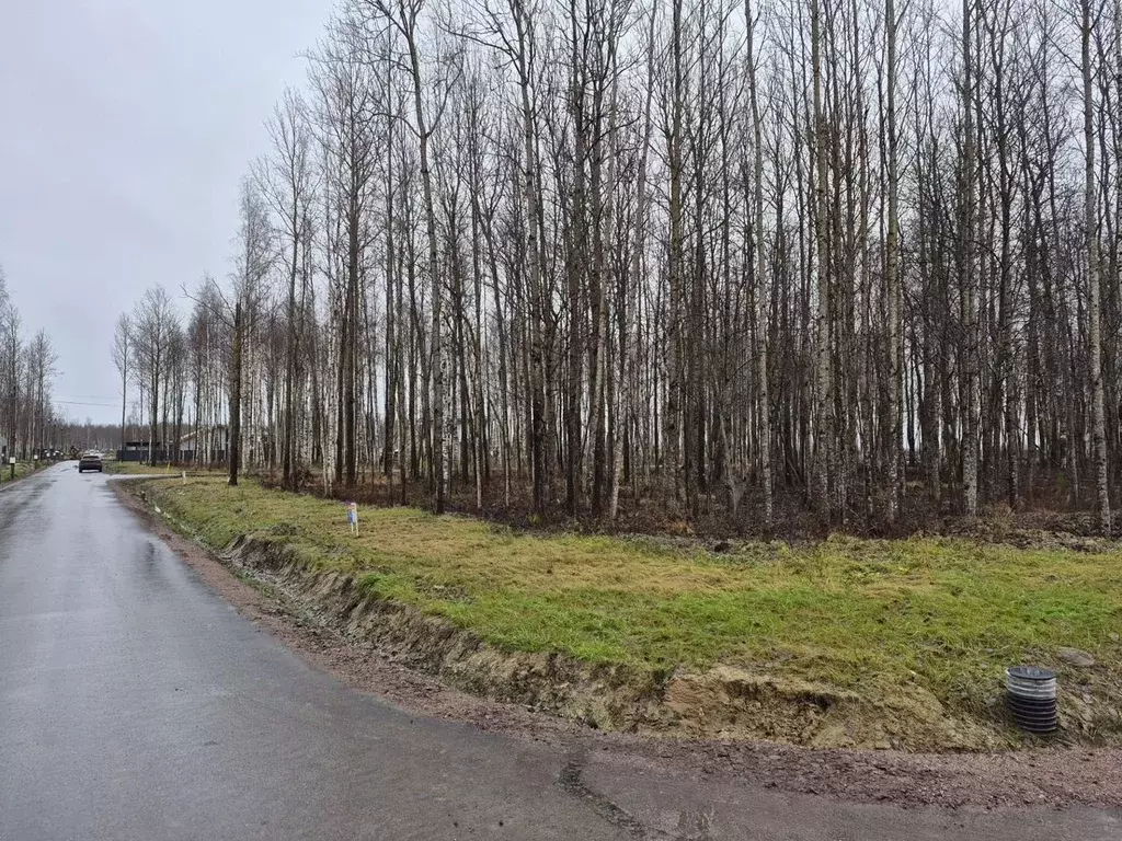 Участок в Санкт-Петербург, Санкт-Петербург, Павловск  (5.0 сот.) - Фото 1