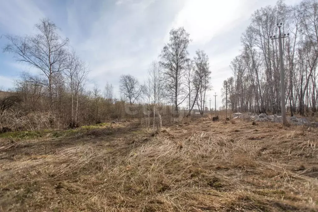 Участок в Новосибирская область, Бердск  (10.22 сот.) - Фото 1