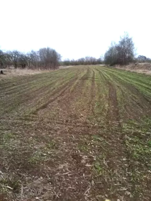 Дом в Псковская область, Новосокольнический район, Насвинская волость, ... - Фото 2