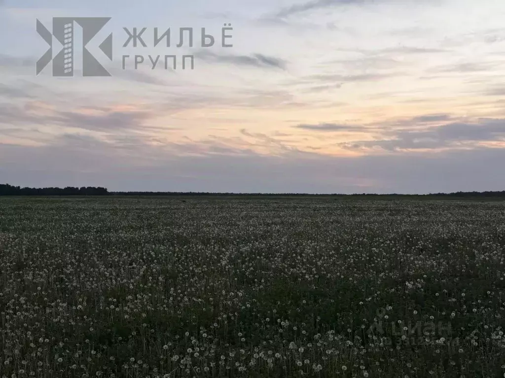 Участок в Татарстан, Лаишевский район, с. Кирби ул. Татарстан (500.0 ... - Фото 2