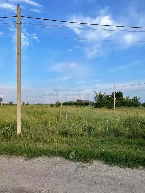 Участок в Воронежская область, Новоусманский район, Хреновское с/пос, ... - Фото 1