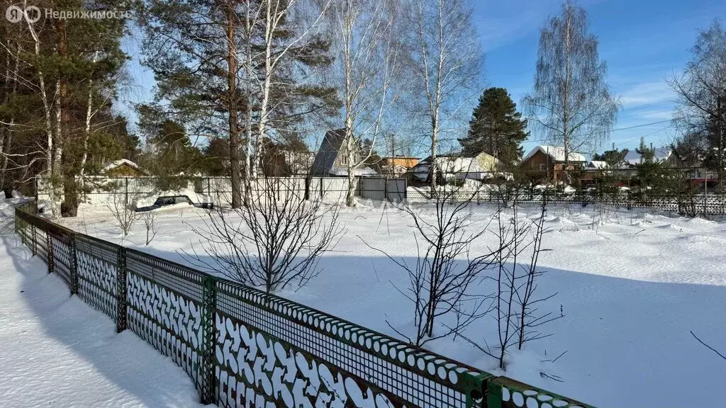 Участок в Пенза, СНТ Берёзка восточнее пос. Новая Жизнь, Озёрная улица ... - Фото 2