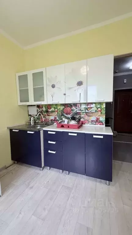 1-к кв. Астраханская область, Астрахань Дачная ул., 8 (33.3 м) - Фото 2