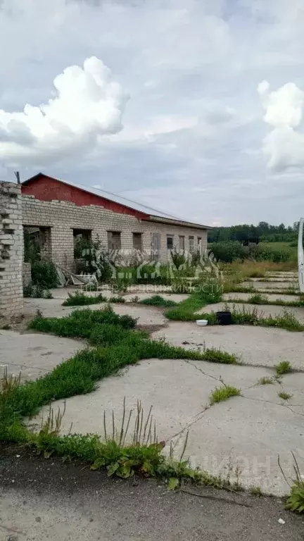 Производственное помещение в Владимирская область, Александровский ... - Фото 1